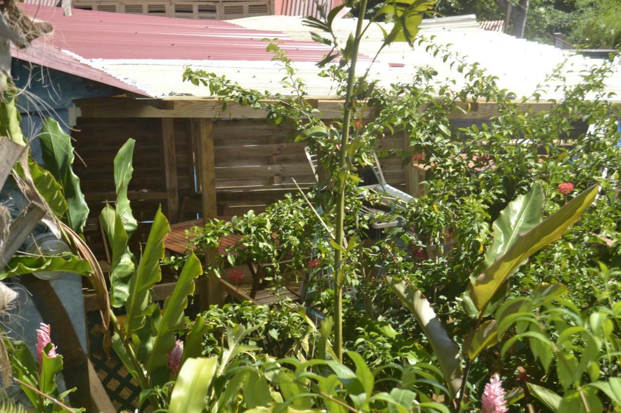 An Eol Caraibes Villa Trois-Rivières Buitenkant foto